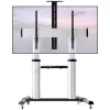Techly ICA-TR24 mobiler TV-Ständer, 60–100 Zoll, 100 kg, mit Ablagen