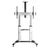 Techly ICA-TR24 mobiler TV-Ständer, 60–100 Zoll, 100 kg, mit Ablagen