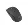 Kabellose optische Maus NATEC Jay 2 RF — 2,4 GHz, 1600 DPI, beidhändig, 4 Tasten, schwarz