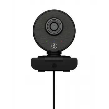 ICY BOX IB-CAM501-HD Webcam 1920 x 1080 Pixel USB 2.0 Schwarz