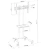 Techly ICA-TR23 mobiler TV-Ständer mit Rollen, 32–70 Zoll, 40 kg, mit Ablage