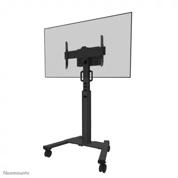Neomounts FL50S-825BL1 TV-Rollwagen 37-75 Zoll - TÜV, Schwarz, Fester Bodenständer, Stahl, 70 kg, 94 cm (37 Zoll), 190,5 cm (75 Zoll)