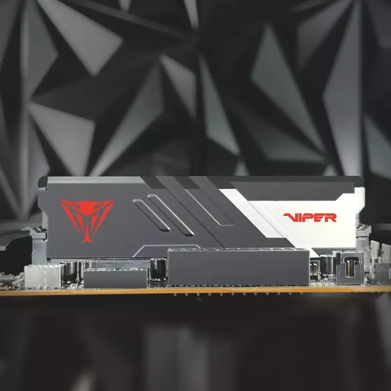 DIMM 32 GB DDR5-7200 (2x 16 GB) Dual-Kit, Arbeitsspeicher schwarz, PVV532G720C34K, Viper Venom, INTEL XMP