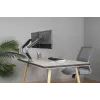 GEMBIRD Verstellbare, am Schreibtisch montierte Doppel-Monitorhalterung, Space Grey