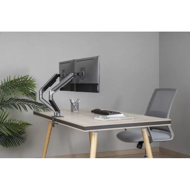 GEMBIRD Verstellbare, am Schreibtisch montierte Doppel-Monitorhalterung, Space Grey
