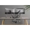 GEMBIRD Verstellbare, am Schreibtisch montierte Doppel-Monitorhalterung, Space Grey
