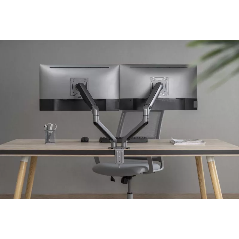 GEMBIRD Verstellbare, am Schreibtisch montierte Doppel-Monitorhalterung, Space Grey
