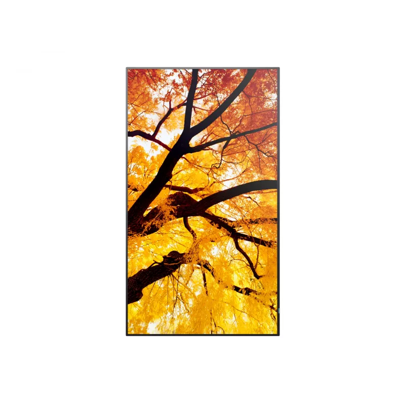Sharp NEC MultiSync M322 (PN-M322) 32 Zoll (81,3 cm) Digital-Signage-Display, Full HD, 450 cd/m², 24/7, Schwarz