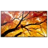 Sharp MultiSync M552 Digital Signage Flachbildschirm 139.7 cm (55 Zoll) LCD 550 cd/m² 4K Ultra HD Schwarz Touchscreen