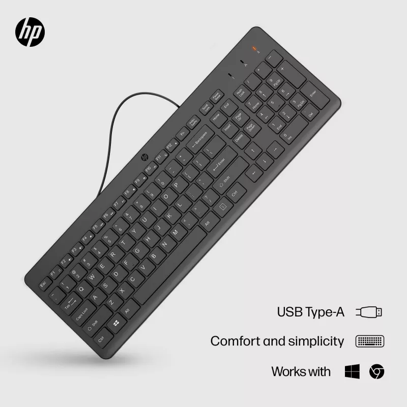 HP 150 kabelgebundene Tastatur, Full-Size (100 %), kabelgebunden, USB, mechanisch, QWERTY, Schwarz