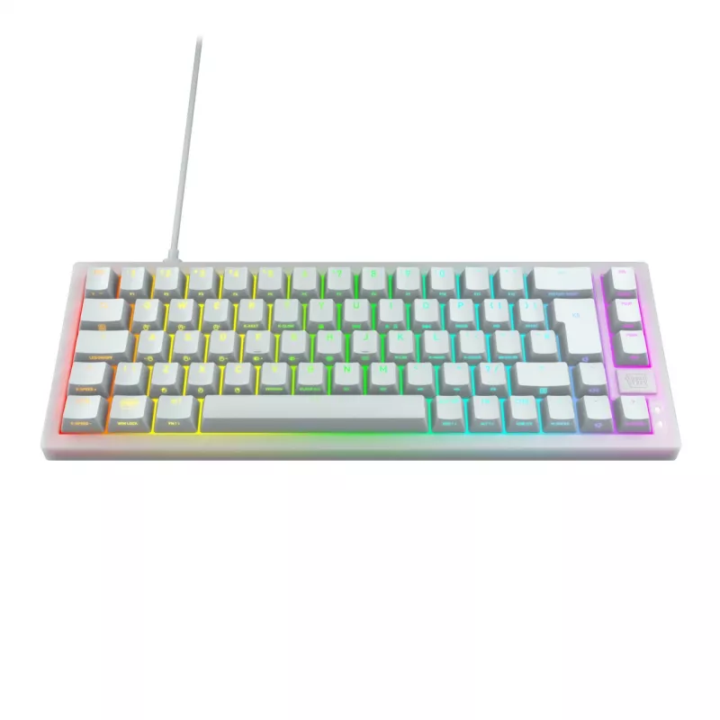 CHERRY XTRFY K5V2 RGB kompakte kabelgebundene mechanische 65-%-Gaming-Tastatur, CHERRY MX2A Red, deutsches QWERTZ-Layout, Weiß