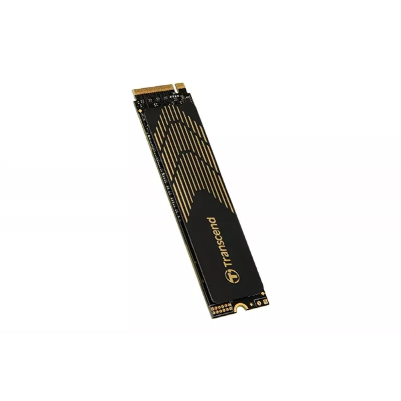 SSD-Festplatte Transcend 1 TB M.2 PCI Express 4.0 NVMe 3D NAND Modell 240S