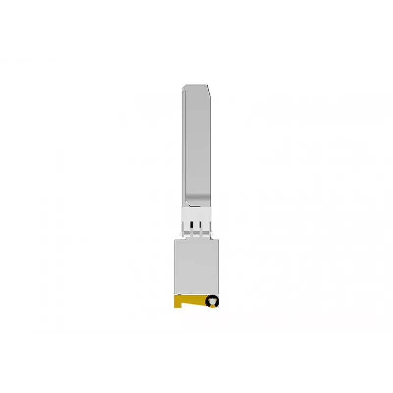 NETGEAR AXM765 SFP+ 10GBase-T RJ-45 Transceiver-Modul, bis zu 80 m