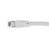 Equip Cat 8.1 S/FTP (PIMF) Patchkabel, LSOH, 2,0 m, Grau, 3 m, Cat8.1, S/FTP (S-STP), RJ-45, RJ-45, Grau