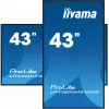 iiyama ProLite LH4360UHS-B2AG 43 Zoll 4K UHD Digital-Signage-Display