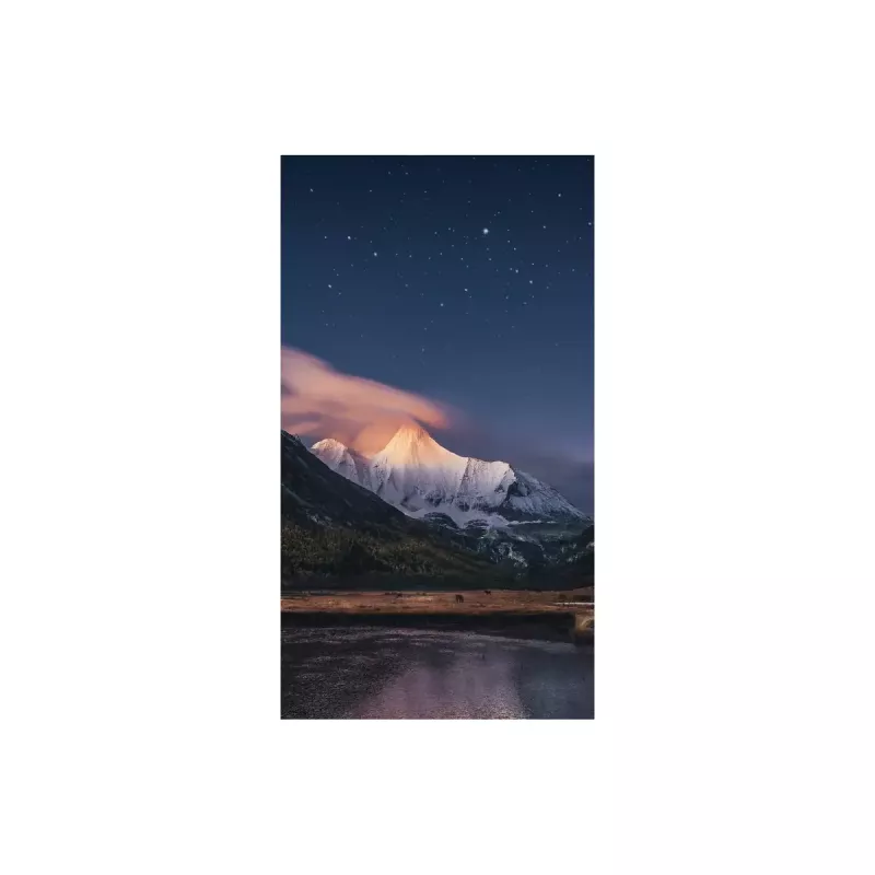 Monitor Samsung VH55R-R 55 Zoll LCD Full HD 1920 x 1080