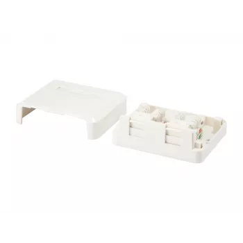 2-Port Keystone Jack Aufputzdose Equip 125124