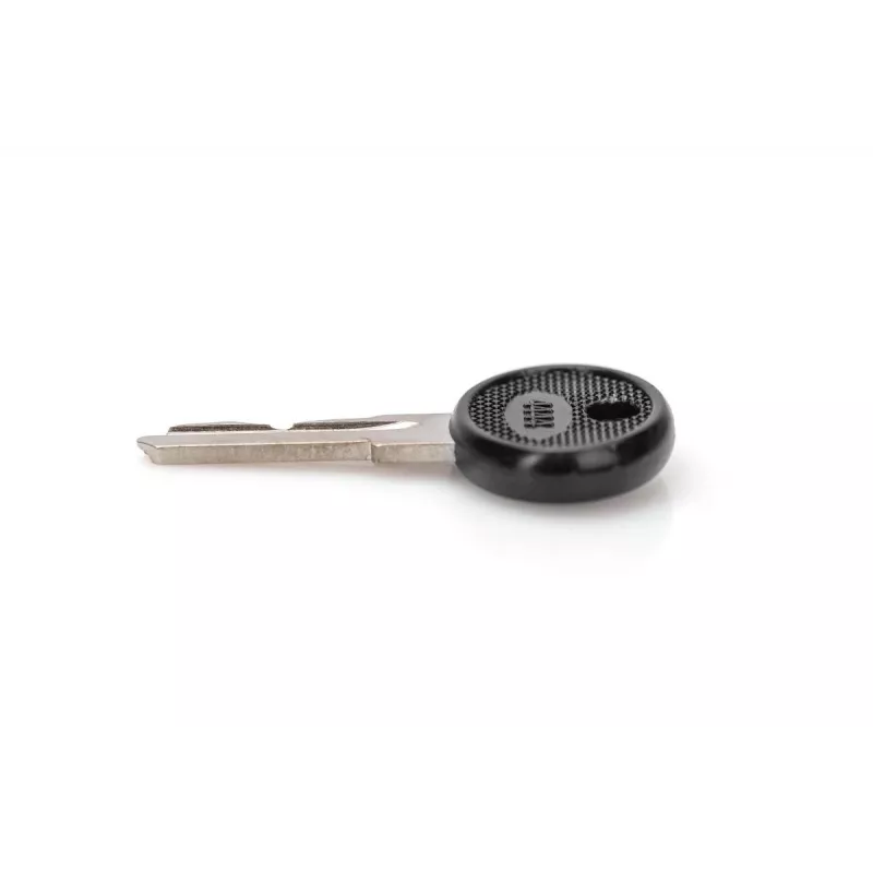 DIGITUS DN-19-KEY-4444 Sperrschlüssel Typ 4444 für SOHO PRO DN-1019 / DN-DVR-1 Wandgehäuse, schwarz/silber, 2 Stück