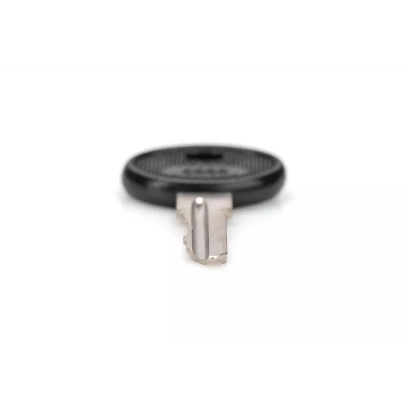 DIGITUS DN-19-KEY-4444 Sperrschlüssel Typ 4444 für SOHO PRO DN-1019 / DN-DVR-1 Wandgehäuse, schwarz/silber, 2 Stück