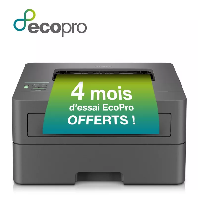 Brother HL-L2400DWE Laserdrucker 1200 x 1200 DPI A4 Wi-Fi