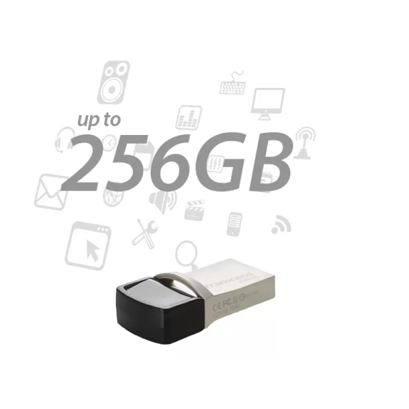TRANSCEND Jetflash 890 - 256GB USB-Stick - USB 3.1 / Typ C