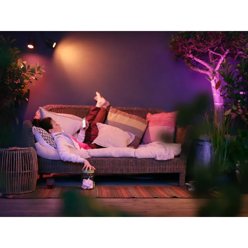 Philips Hue White and Colour Ambiance Lily Außenstrahler