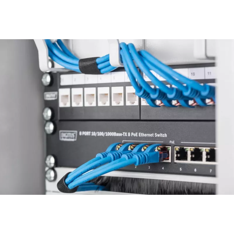 DIGITUS Wandmontagegehäuse 254 mm (10 Zoll) 6U grau (RAL 7035) Glastür