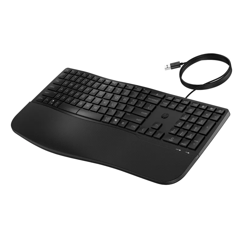 HP 485 Comfort Wired Keyboard Full-size USB Membrane mit Handballenauflage