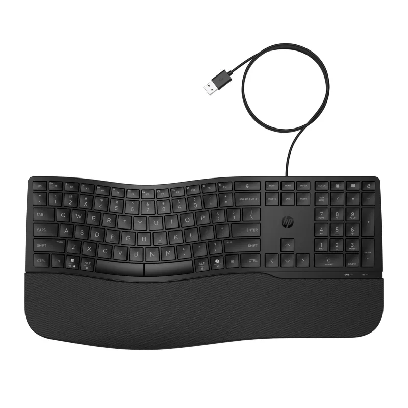 HP 485 Comfort Wired Keyboard Full-size USB Membrane mit Handballenauflage