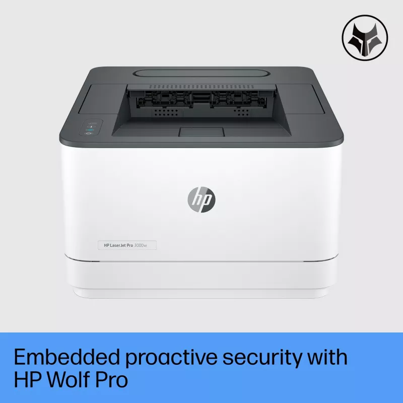 Drucker HP LaserJet Pro 3002dn Laser Grau Weiß