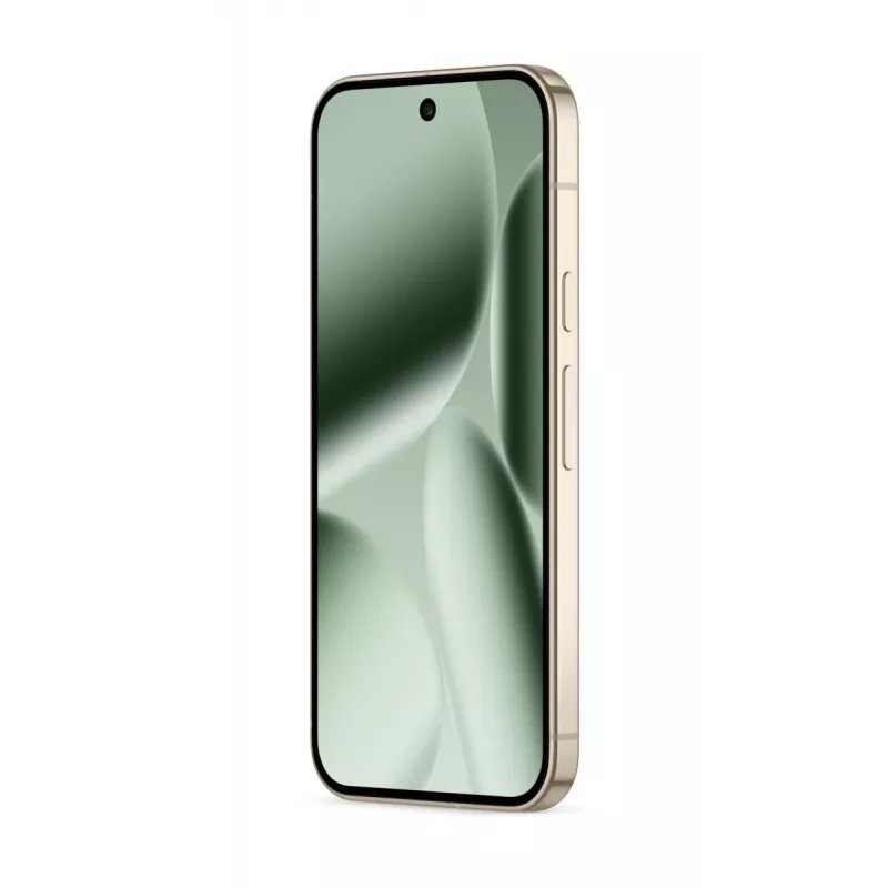 GOOGLE Pixel 10 Pro - Jade - 16GB - 256GB - 6,3 Zoll