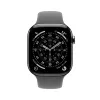 APPLE Watch Series 11 GPS + Cellular 42mm natürliches Titangehäuse mit Stone Grey Sport Armband S/M