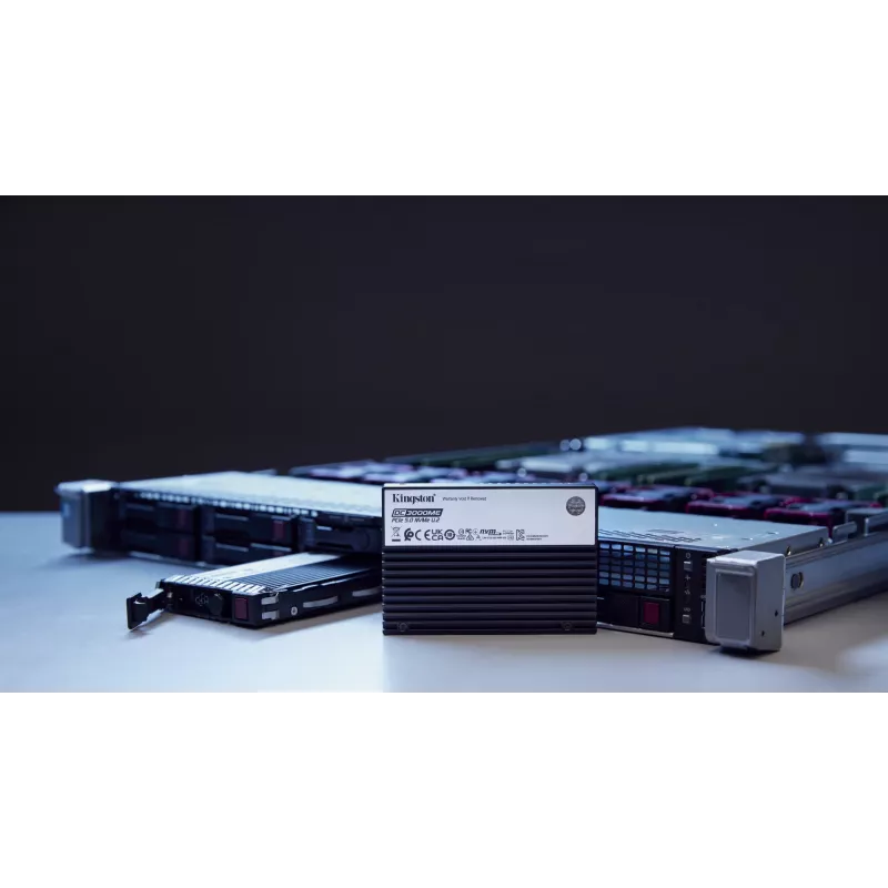 Kingston Technology 3,84 TB DC3000ME U.2 PCIe 5.0 NVMe TCG Opal Enterprise-SSD