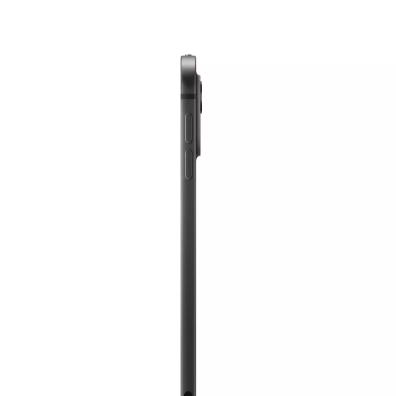APPLE iPad Pro - M4 - 11 Zoll - Wi-Fi + Cellular - 2TB - Space Black - Standardglas