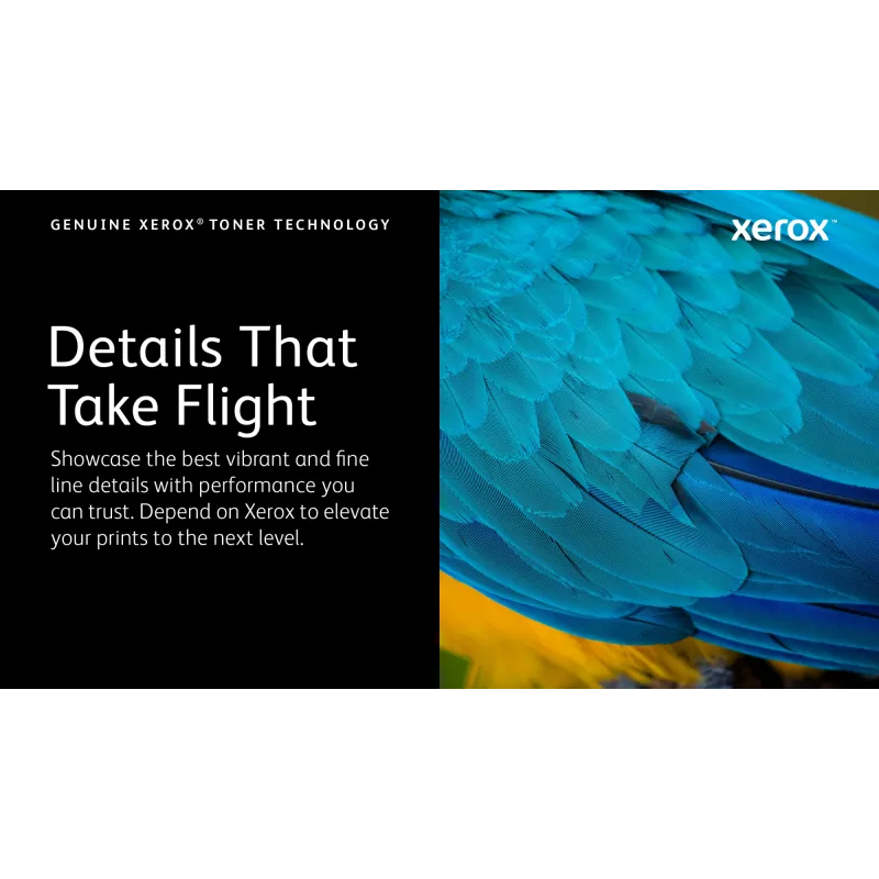 Xerox Genuine Phaser® 6510, WorkCentre® 6515 Gelb Standard-Kapazität Tonerkartusche (1000 Seiten) – 106R03475