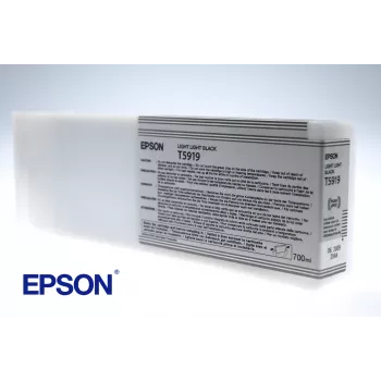 Epson Einzelpackung Light Light Schwarz T591900, Light light Schwarz, Pigmenttinte, 700 ml, 1 Stück