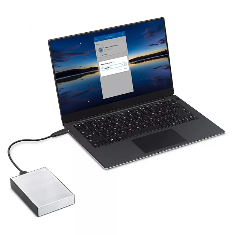 Seagate One Touch STKY1000401 1 TB externe tragbare Festplatte, 2,5 Zoll, USB 3.0 (USB 3.2 Gen 1), Passwortschutz, Silber