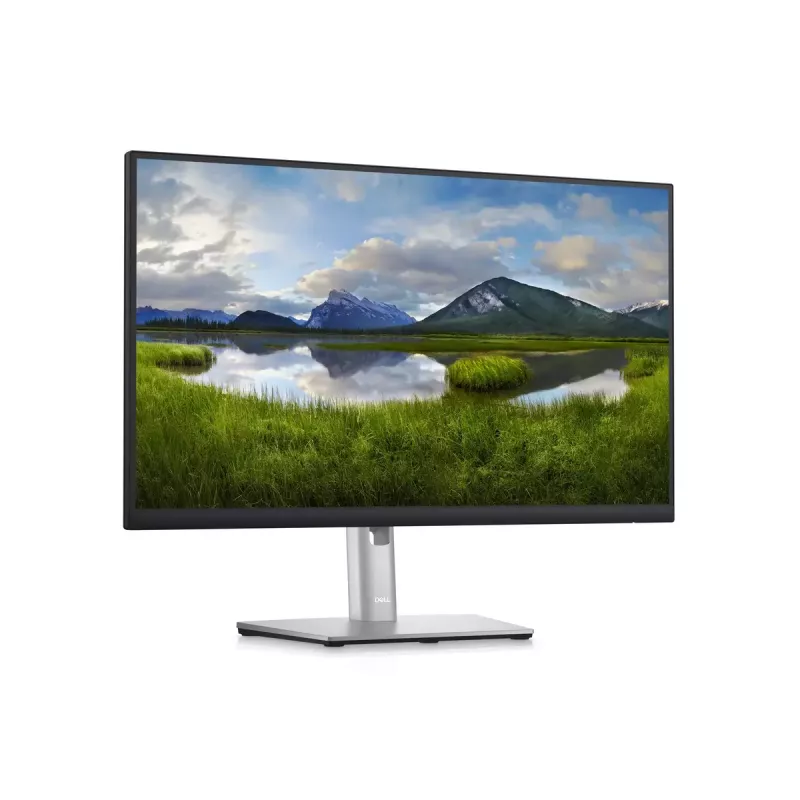Monitor DELL P2423D 23,8 Zoll LCD Quad HD 2560 x 1440