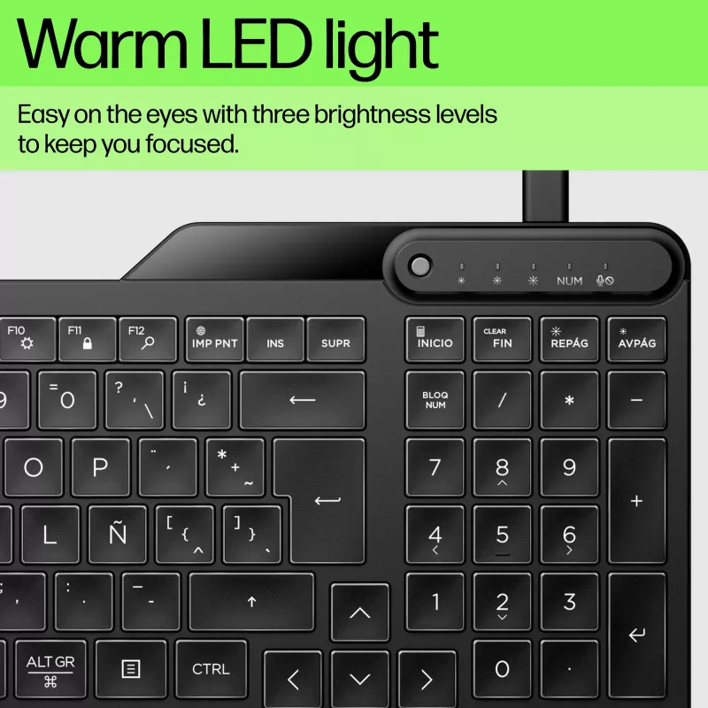 HP 405 Multi-Device Hintergrundbeleuchtete Kabelgebundene Tastatur, Vollformat (100%), Kabelgebunden, USB, Membran, Schwarz