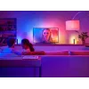 Philips Hue White and Colour Ambience Play Gradient Lightstrip 55 Zoll