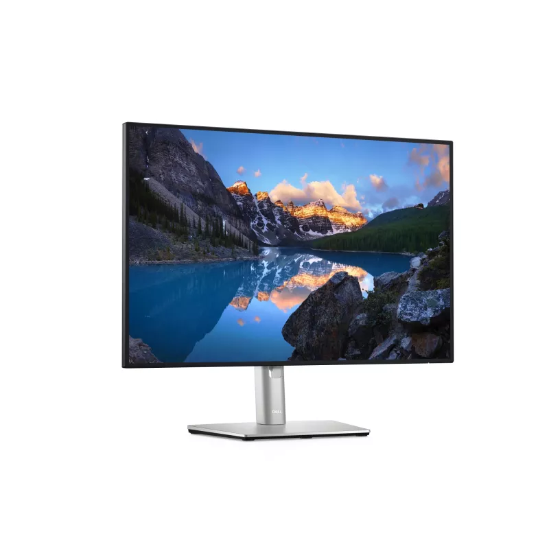 DELL UltraSharp U2421E Computer Monitor 61,2 cm (24,1 Zoll) 1920 x 1200 Pixel WUXGA LCD Silber