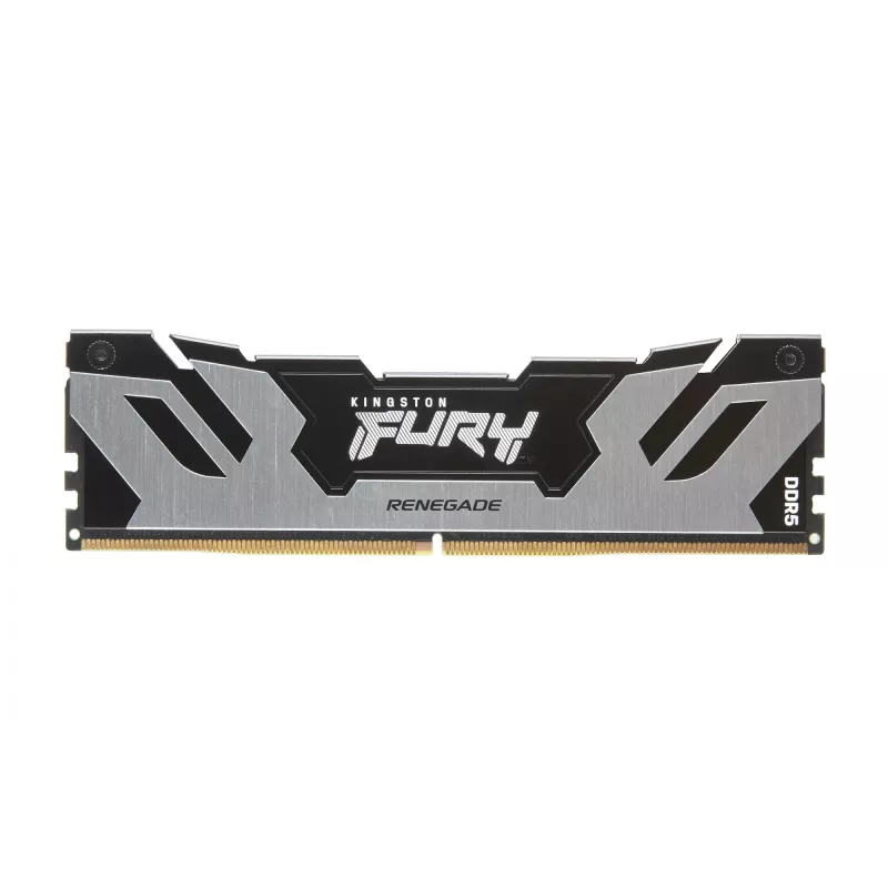 Kingston Technology FURY 32GB 6400MT/s DDR5 CL32 DIMM (Kit of 2) Renegade Silver