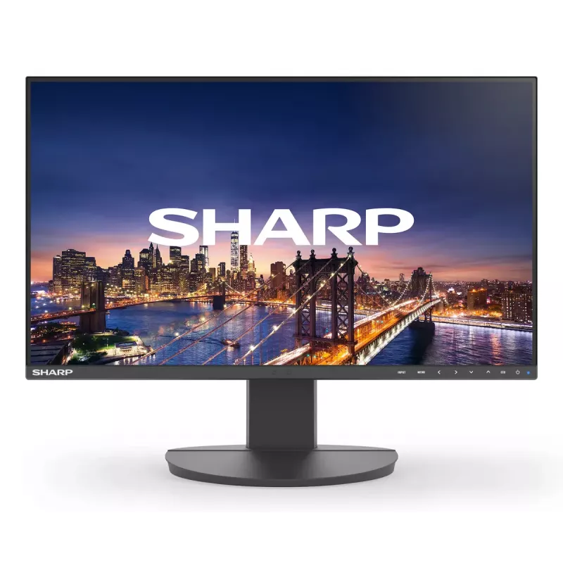 Sharp MultiSync EA242F Computer-Monitor 24 Zoll Full HD 1920 x 1080 LCD Schwarz