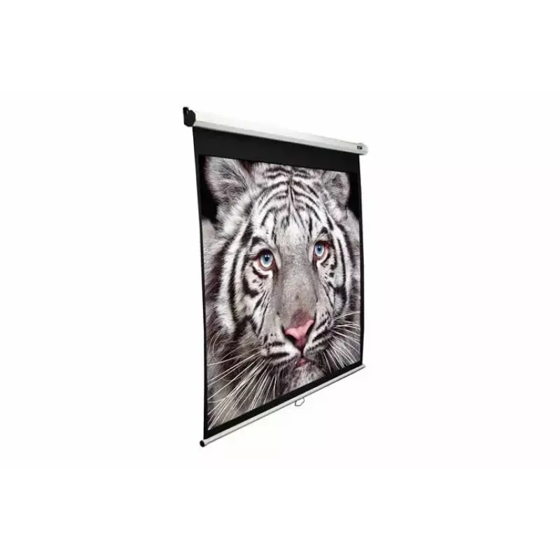 Projektionsleinwand Elite Screens M99UWS1