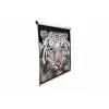 Projektionsleinwand Elite Screens M113UWS1
