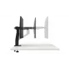 DELL Einzelmonitorarm – MSA20, 10 kg, 48,3 cm (19 Zoll), 96,5 cm (38 Zoll), Höhenverstellung, Schwarz