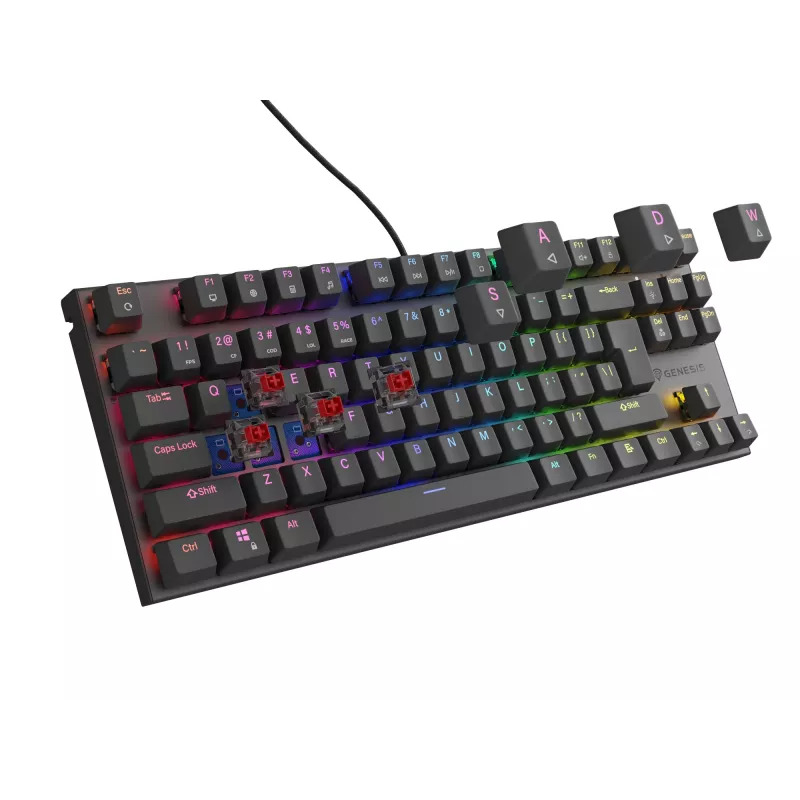 GENESIS Thor 303 TKL Tastatur Gaming USB QWERTY Schwarz RGB LED