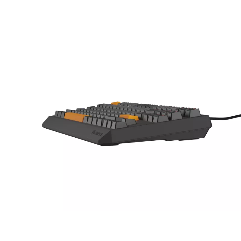 Genesis Thor 230 TKL kabelgebundene mechanische Gaming-Tastatur, US, Anchor Gray Negative, Outemu Red