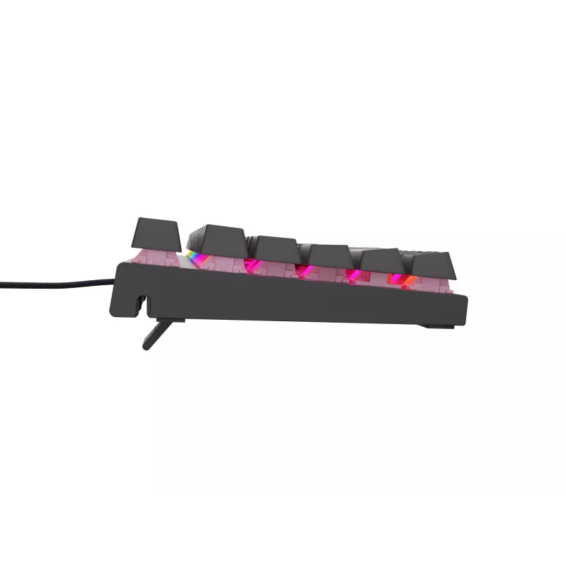 GENESIS Thor 303 TKL Tastatur Gaming USB QWERTY US International Schwarz