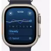 Smartwatch Apple Watch Ultra 2 GPS + Cellular 49 mm Natur Titan-Gehäuse mit Tan Alpine Loop, Medium